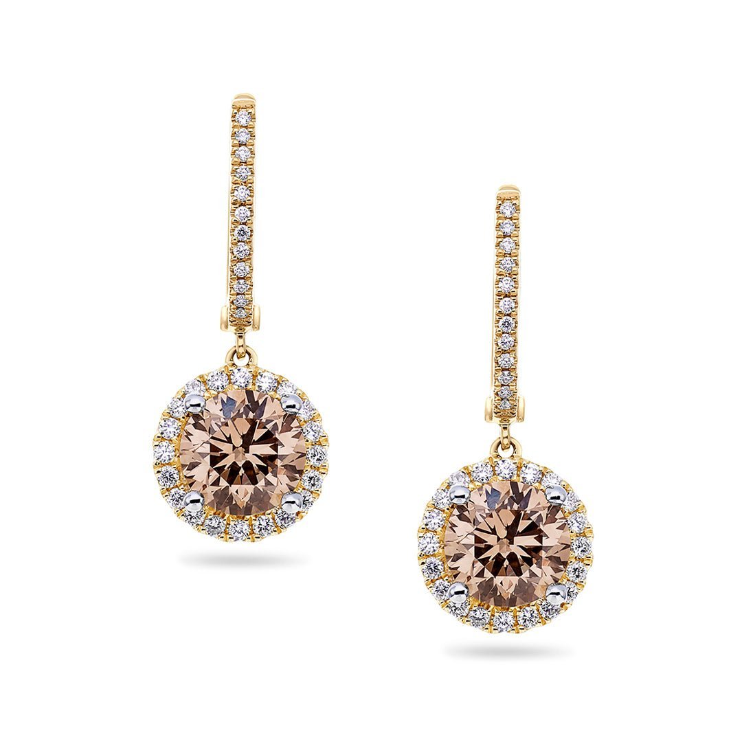 Champagne & White Diamond Earrings - Dracakis Jewellers Champagne & White Diamond Earrings - Dracakis Jewellers
