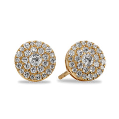 Double Halo Diamond Earrings - Dracakis Jewellers